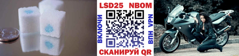 закладка  Ершов  ЛСД экстази кислота 