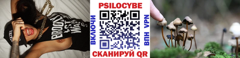 наркошоп  MEGA сайт  Псилоцибиновые грибы прущие грибы  Ершов 